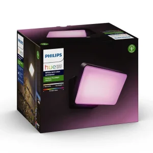 Luminaires Philips Spots Extérieurs>Projecteur Philips Hue Ambiance White & Color Discover Led Noir, 1 Lumiere, Changeur De Couleurs