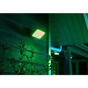 Luminaires Philips Spots Extérieurs>Projecteur Philips Hue Ambiance White & Color Discover Led Noir, 1 Lumiere, Changeur De Couleurs