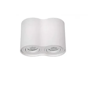 Luminaires Lucide Spots Professionnels>Spot Lucide Tube Blanc, 2 Lumieres