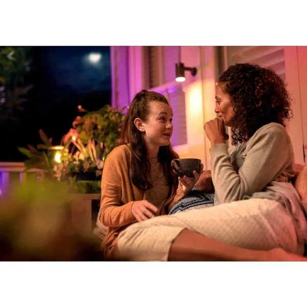 Luminaires Philips Spots Extérieurs>Spot, Set D'Extension Philips Hue Ambiance White & Color Waca Lily Led Noir, 1 Lumiere, Changeur De Couleurs