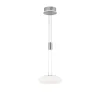 Paul Neuhaus Q-Serie Philips Hue>Suspension Paul-Neuhaus Q-Etienne Led Acier Brosse, 2 Lumieres, Telecommandes