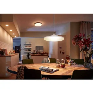 Luminaires Philips Philips Hue>Suspension Philips Hue Cher Led Blanc, 1 Lumiere, Telecommandes