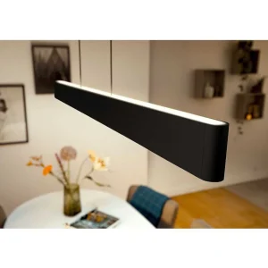 Luminaires Philips Luminaires Interieurs Connectes>Suspension Philips Hue White & Color Ambiance Ensis Led Noir, 2 Lumieres, Changeur De Couleurs