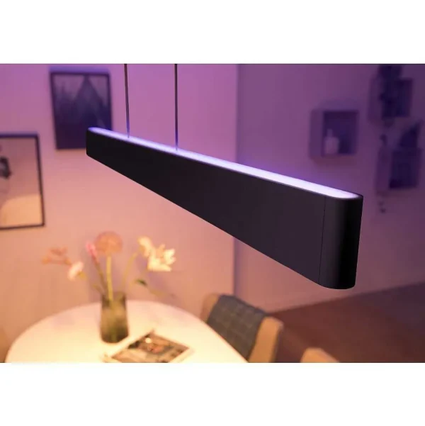 Luminaires Philips Luminaires Interieurs Connectes>Suspension Philips Hue White & Color Ambiance Ensis Led Noir, 2 Lumieres, Changeur De Couleurs