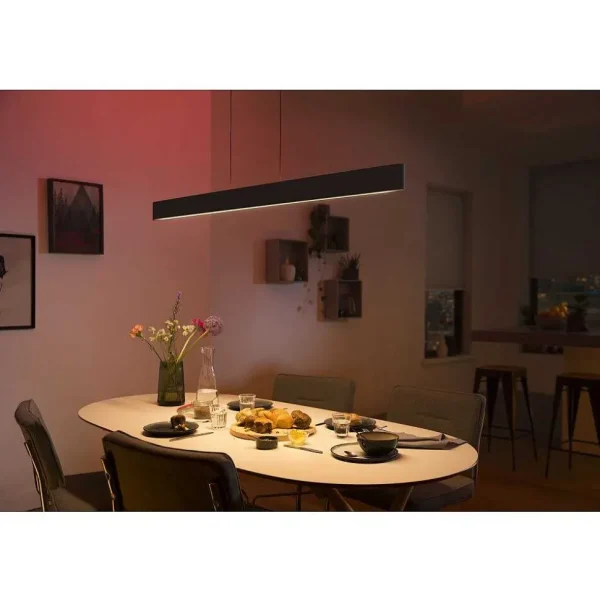 Luminaires Philips Luminaires Interieurs Connectes>Suspension Philips Hue White & Color Ambiance Ensis Led Noir, 2 Lumieres, Changeur De Couleurs