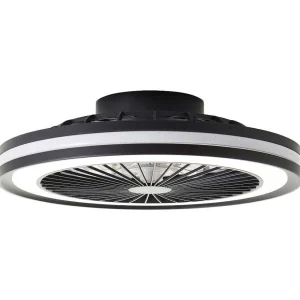 Luminaires Brilliant Plafonniers Et Lustres Ventilateurs>Ventilateur De Plafond Brilliant Palmero Noir, 1 Lumiere, Telecommandes, Changeur De Couleurs