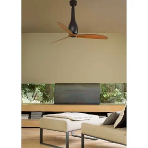 Luminaires Faro Barcelona Plafonniers Et Lustres Ventilateurs>Ventilateur De Plafond Faro Barcelona Eter Noir