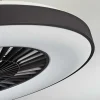 hofstein Plafonniers Et Lustres Ventilateurs>Ventilateur De Plafond Qualiano Led Noir, Blanc, 1 Lumiere, Telecommandes