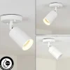Plafonnier Exterieur Aketohoin Led Blanc, 1 Lumiere