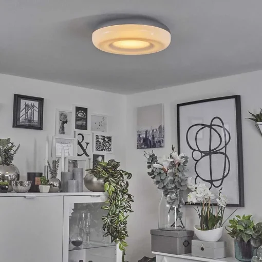 Plafonnier Idual Daphnis Led Argente, Blanc, 1 Lumiere, Telecommandes, Changeur De Couleurs
