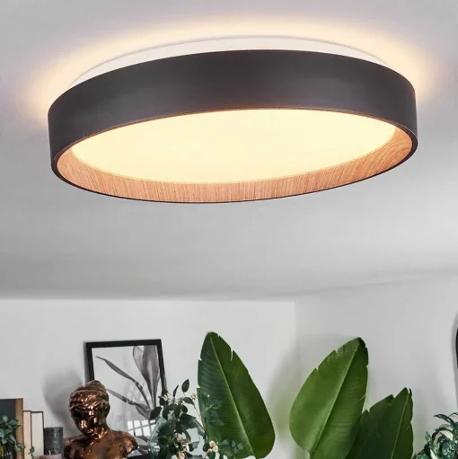 Plafonnier Sassemte Led Blanc, 1 Lumiere