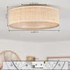 Plafonnier Wynona Led Blanc, 1 Lumiere