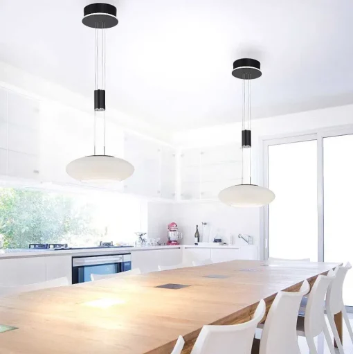 Suspension Paul Neuhaus Q-Etienne Led Noir, 1 Lumiere, Telecommandes