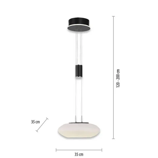 Suspension Paul Neuhaus Q-Etienne Led Noir, 1 Lumiere, Telecommandes