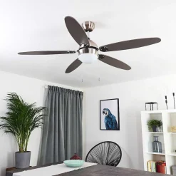 Ventilateur De Plafond Valeria Chrome, Bois Clair, Nickel Mat, 1 Lumiere